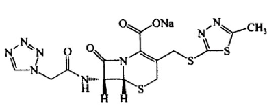 ͪ��ҳ��ܽ���