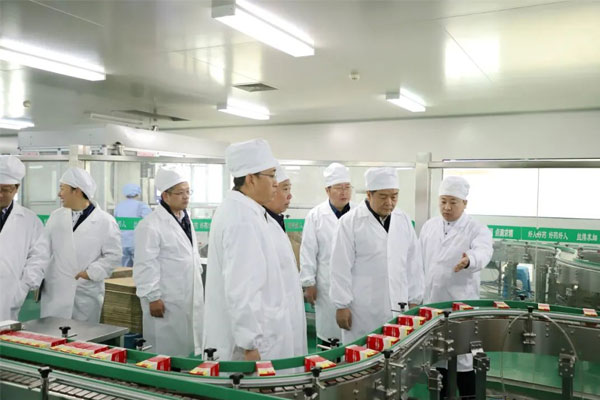 �ι�Ƭ�����������