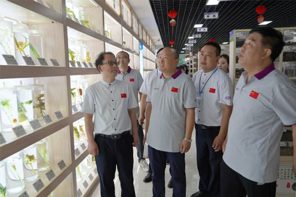 参观rg皇家视讯中药标本展览馆 参观rg皇家视讯中药标本展览馆