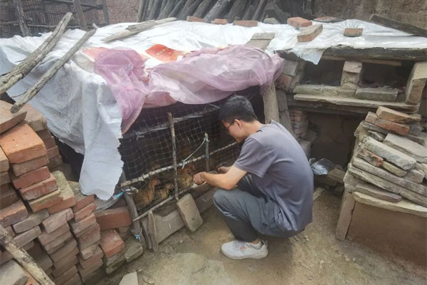 ��ƶ������,rg�ʼ���Ѷ