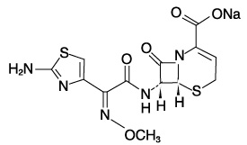 注射用头孢唑肟钠 注射用头孢唑肟钠