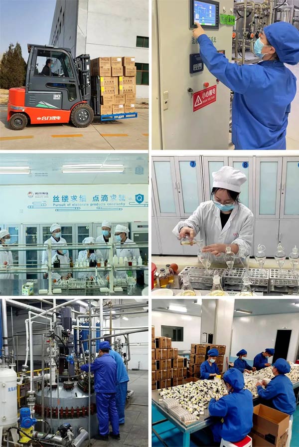 rg�ʼ���Ѷ̩ʢ