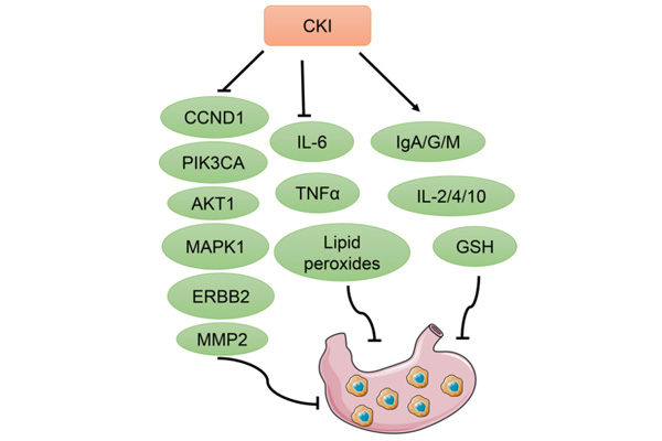 ¸´·½¿à²Î×¢ÉäÒºÒ½ÖÎθ°© ¸´·½¿à²Î×¢ÉäÒºÒ½ÖÎθ°©