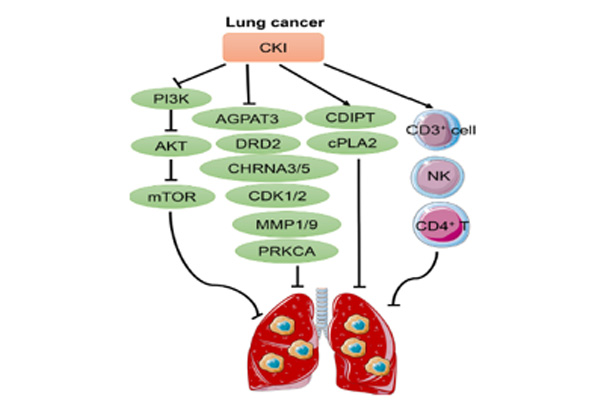 ¸´·½¿à²Î×¢ÉäÒºÒ½Öηΰ© ¸´·½¿à²Î×¢ÉäÒºÒ½Öηΰ©