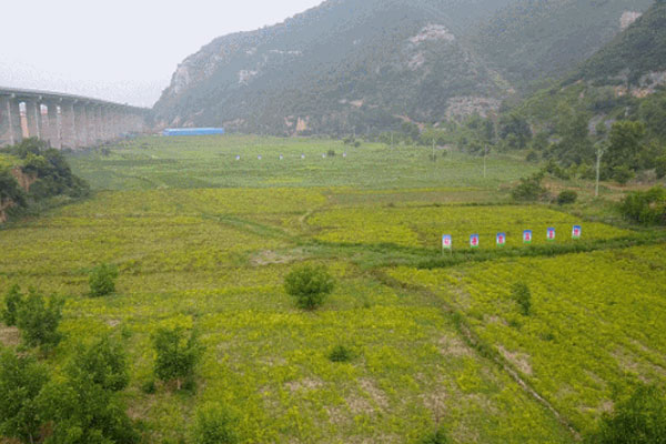 rg�ʼ���Ѷ,rg�ʼ���Ѷ·��ҩ��