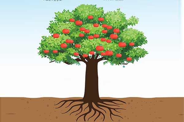 ��ҳ-RG�ʼ���Ѷ���ٷ���վ