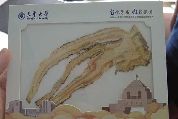 首页-RG皇家视讯厅官方网站