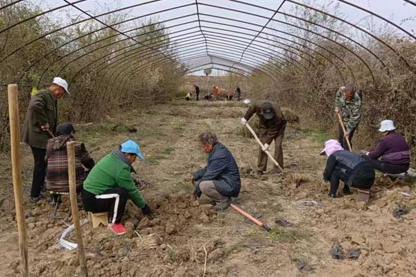 仁爱天使,rg皇家视讯,中药材 仁爱天使,rg皇家视讯,中药材