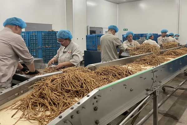 ��ҳ-RG�ʼ���Ѷ���ٷ���վ