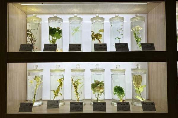 rg»Ê¼ÒÊÓѶ¿Æ¼¼ÖÐÐÄÕûÆë°Ú·ÅµÄÖÐÒ©±ê±¾ rg»Ê¼ÒÊÓѶ¿Æ¼¼ÖÐÐÄÕûÆë°Ú·ÅµÄÖÐÒ©±ê±¾