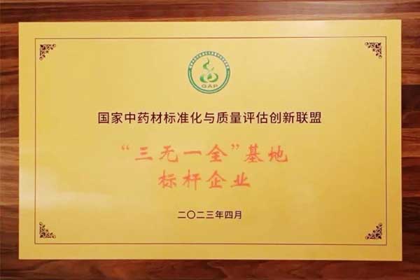 rg�ʼ���Ѷ,rg�ʼ���Ѷ