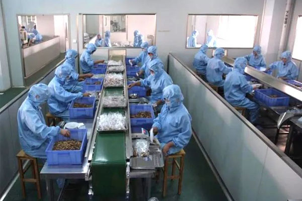 rg�ʼ���Ѷ��ҩ��Ƭ����