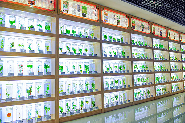 rg�ʼ���Ѷ�Ƽ�������ҩ�걾