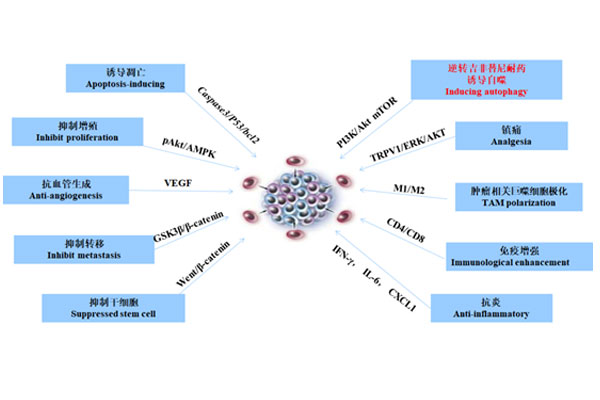 ���渴�����ע��Һ,�������ע��Һ,����