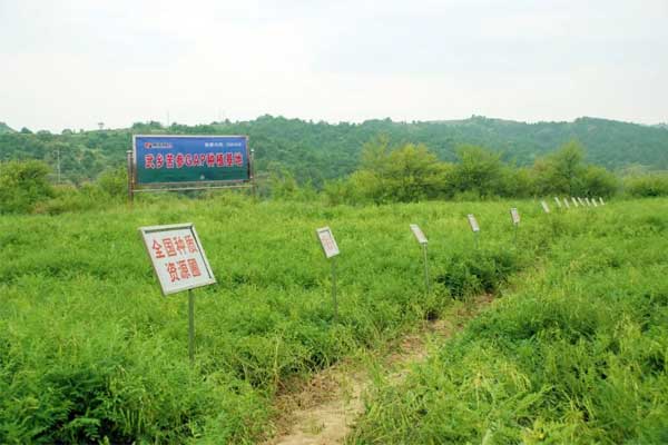 ����,�������ע��Һ,rg�ʼ���Ѷ