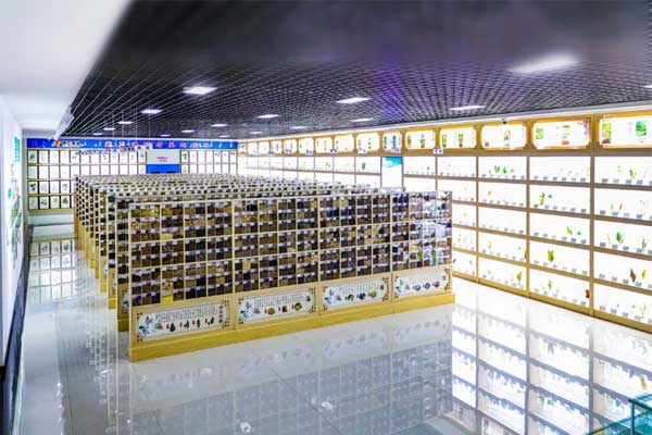 rg»Ê¼ÒÊÓѶ¿Æ¼¼ÖÐÐÄÖÐÒ©±ê±¾¹Ý rg»Ê¼ÒÊÓѶ¿Æ¼¼ÖÐÐÄÖÐÒ©±ê±¾¹Ý