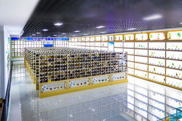 rg�ʼ���Ѷ�Ƽ�������ҩ�걾��