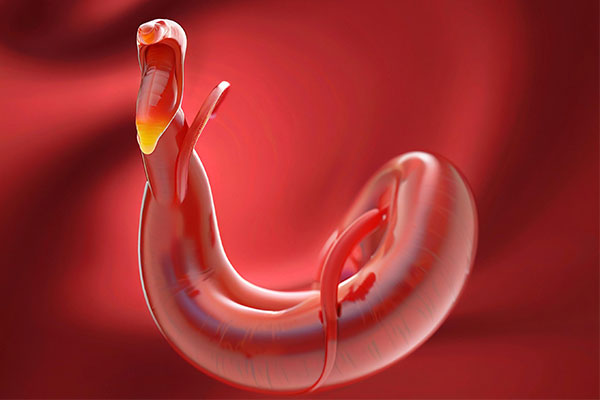 ��ҳ-RG�ʼ���Ѷ���ٷ���վ