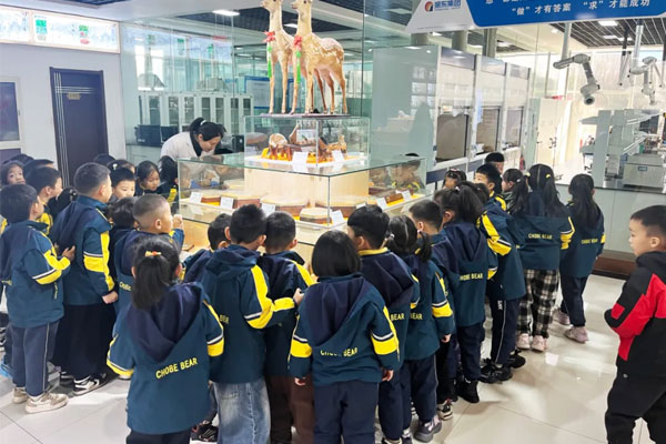 幼伴侣们到rg皇家视讯标本馆科普进建 幼伴侣们到rg皇家视讯标本馆科普进建