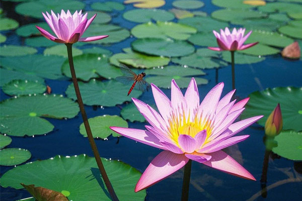 ��ҳ-RG�ʼ���Ѷ���ٷ���վ