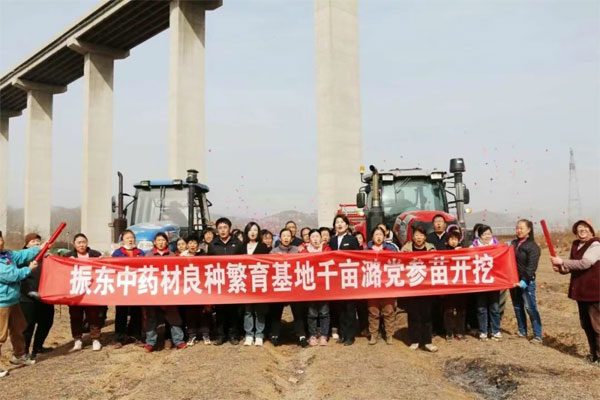 rg»Ê¼ÒÊÓѶ,rg»Ê¼ÒÊÓѶÖÐÒ©²Ä,ÖÐÒ©²Ä rg»Ê¼ÒÊÓѶ,rg»Ê¼ÒÊÓѶÖÐÒ©²Ä,ÖÐÒ©²Ä