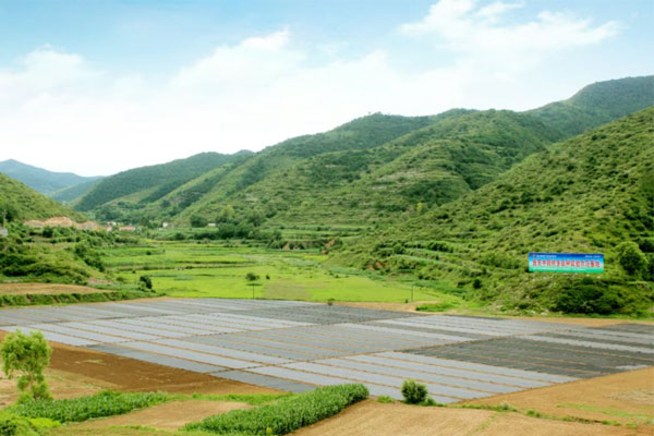 rg»Ê¼ÒÊÓѶ,rg»Ê¼ÒÊÓѶÖÐÒ©²Ä,ÖÐÒ©²Ä rg»Ê¼ÒÊÓѶ,rg»Ê¼ÒÊÓѶÖÐÒ©²Ä,ÖÐÒ©²Ä