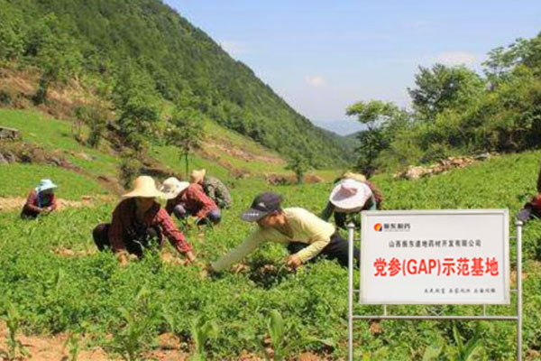 rg»Ê¼ÒÊÓѶ,rg»Ê¼ÒÊÓѶÖÐÒ©²Ä,ÖÐÒ©²Ä rg»Ê¼ÒÊÓѶ,rg»Ê¼ÒÊÓѶÖÐÒ©²Ä,ÖÐÒ©²Ä