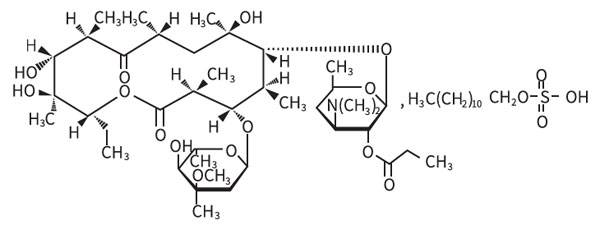 ������ù��Ƭ