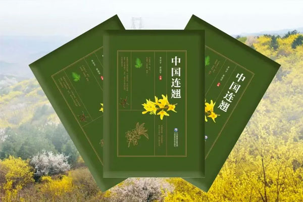 ��ҳ-RG�ʼ���Ѷ���ٷ���վ