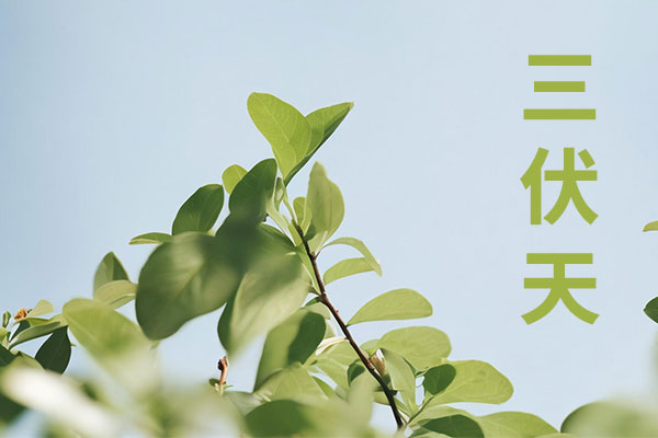 ��ҳ-RG�ʼ���Ѷ���ٷ���վ