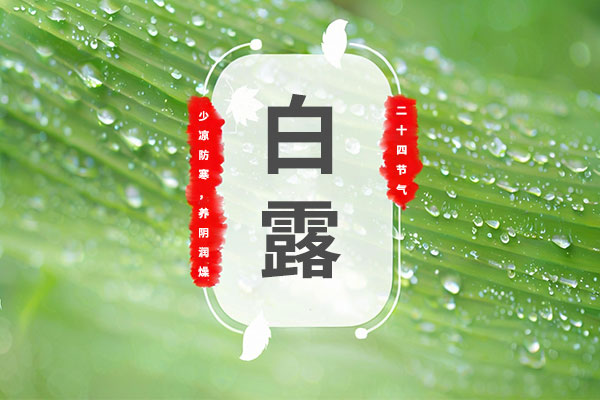 ��¶����