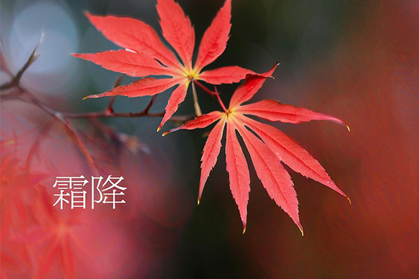 ��ҳ-RG�ʼ���Ѷ���ٷ���վ