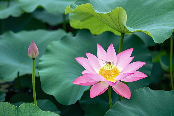 ��ҳ-RG�ʼ���Ѷ���ٷ���վ