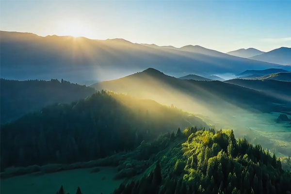 d30d3ec3cf49aa0c1999e26860ae8cdc